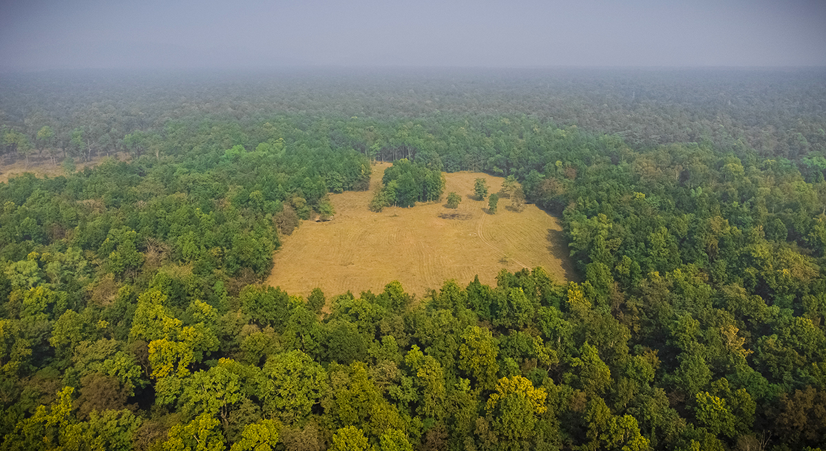 parsa national park.jpg